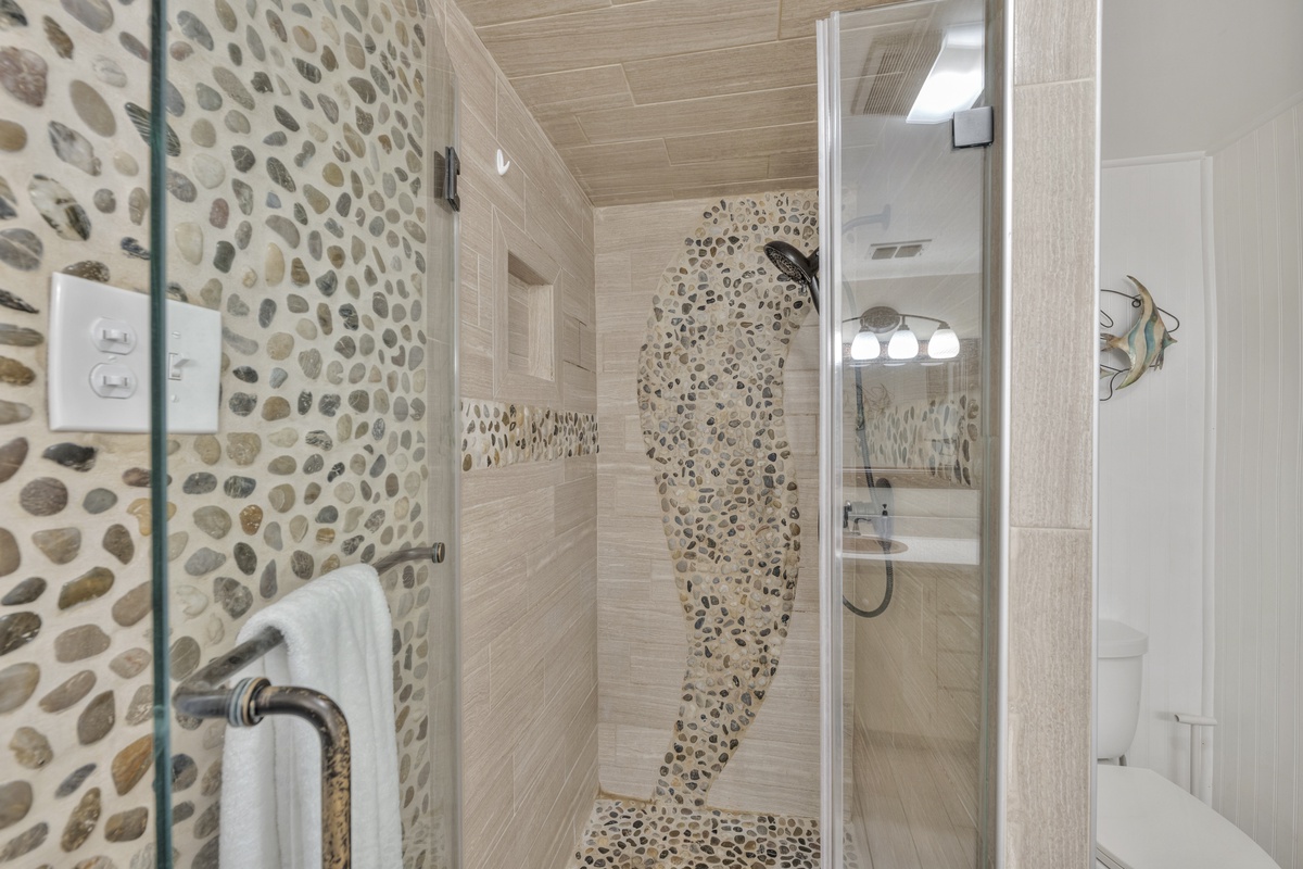 CMS_6630