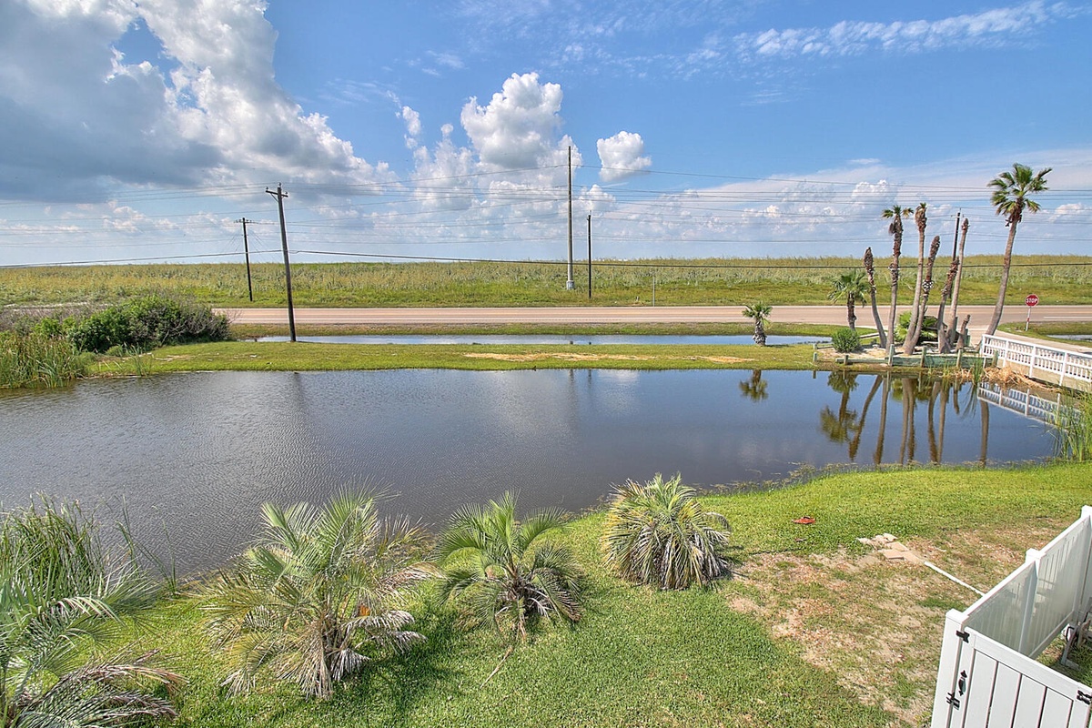 Peaceful pond view surrounded by lush greenery and swaying palm trees under expansive blue skies.