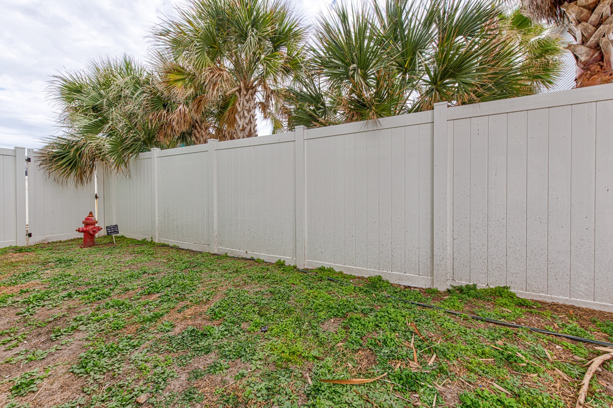Private fenced yard with tropical palms creating your own secluded outdoor retreat for relaxation and activities.