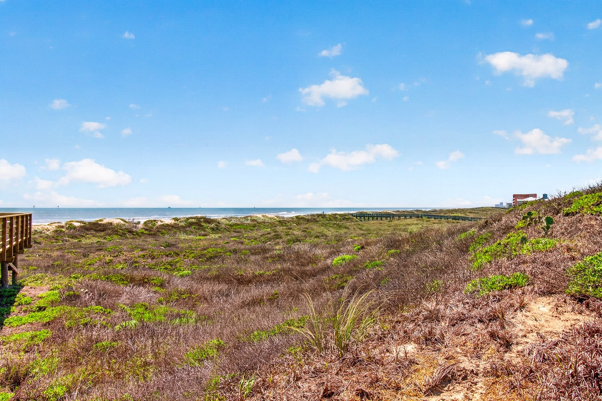 Coastal dunes stretch toward pristine beaches with boardwalk access, offering natural beauty and peaceful ocean views in the surrounding area.