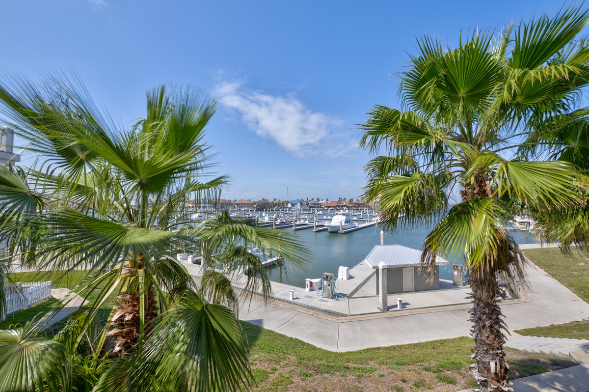 Scenic marina view framed by tropical palm trees, showcasing the waterfront location and boating facilities nearby.