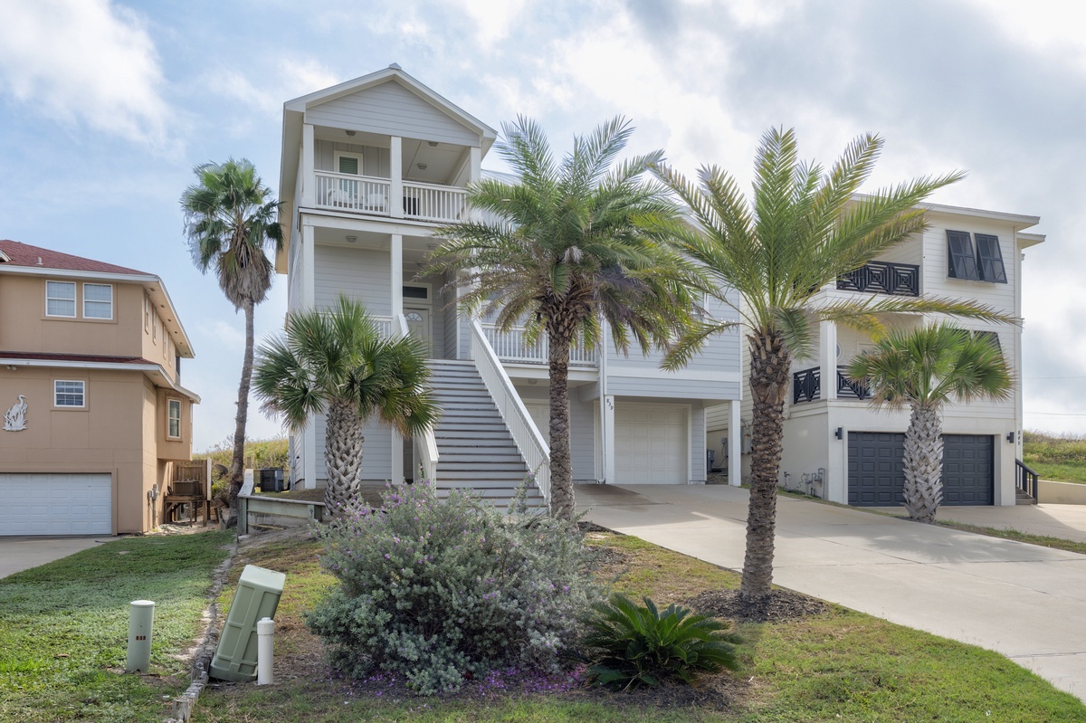 Coastal vacation home with tropical palm trees and elevated design in a peaceful residential setting.