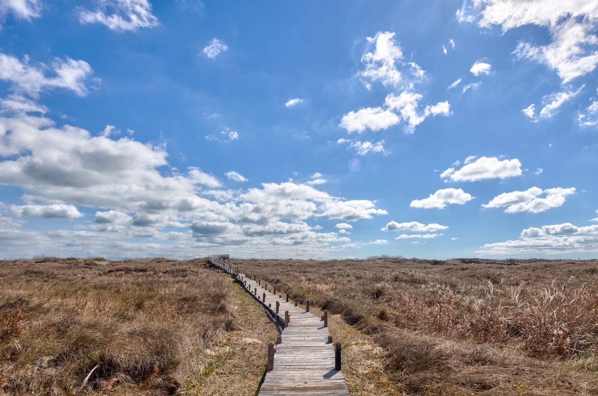 Wooden boardwalk winds through natural moorland under dramatic cloudy skies, offering peaceful walking trails in the surrounding countryside.