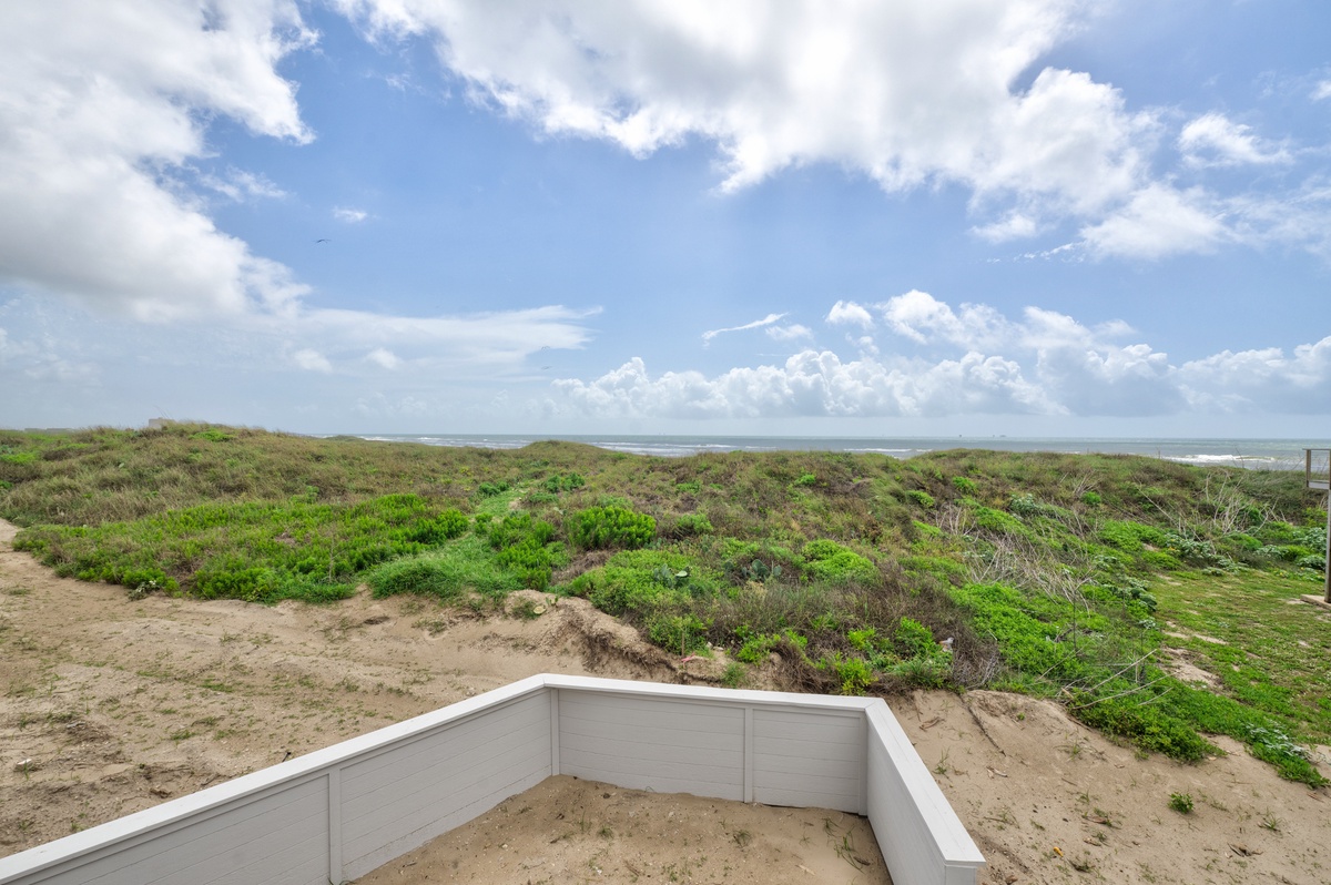 Elevated deck overlooking protected coastal dunes and native vegetation stretching toward the horizon.