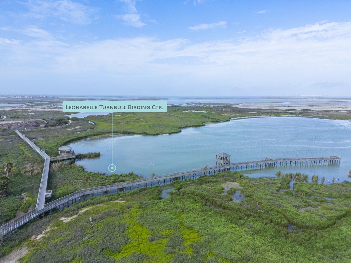 Aerial view of Leonabelle Turnbull Birding Center with elevated boardwalks over pristine coastal wetlands and lagoons.