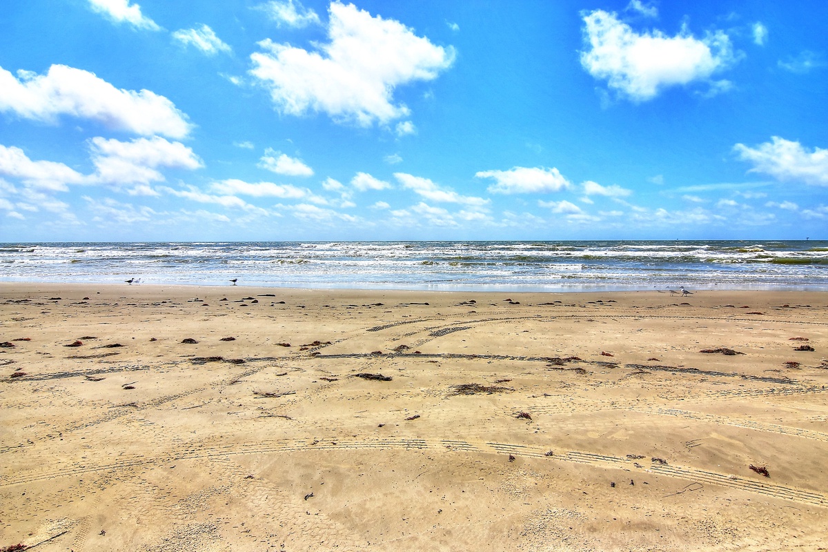 Pristine sandy beach stretches under brilliant blue skies, with gentle waves rolling onto shore and seabirds dotting the coastline.