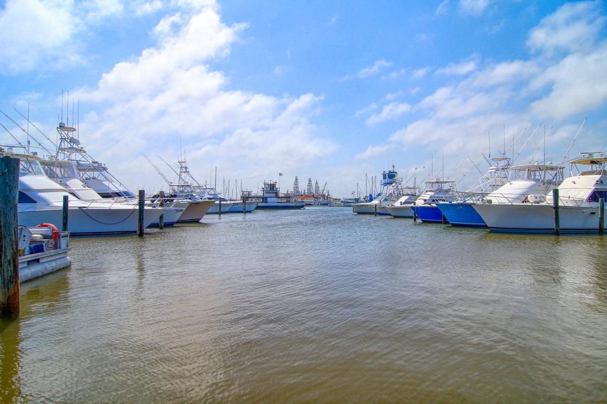 A bustling marina with luxury boats and fishing vessels creates a vibrant waterfront atmosphere in the surrounding area.