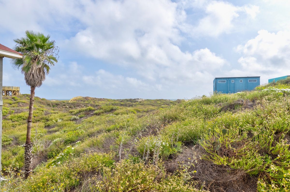 Natural coastal landscape with native vegetation and palm trees surrounds this peaceful island retreat location.