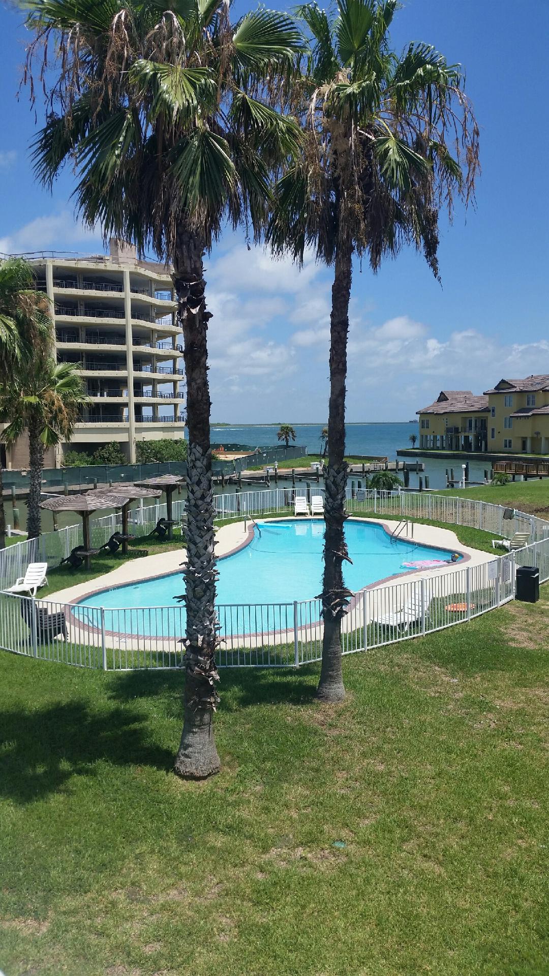 Dive into your tropical paradise with this sparkling pool surrounded by swaying palms and stunning ocean views.