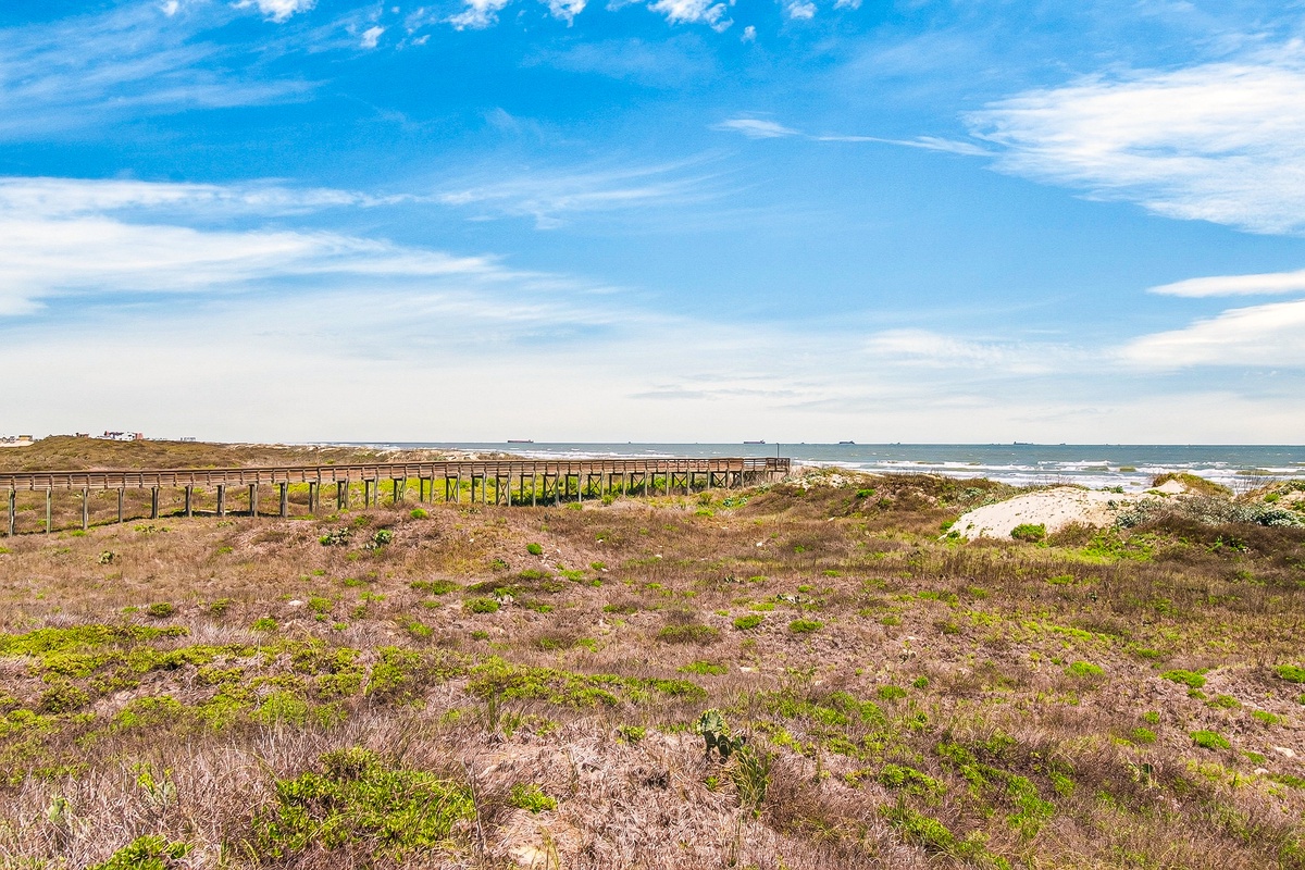 Coastal boardwalk winds through natural dunes toward the sparkling ocean under expansive blue skies.