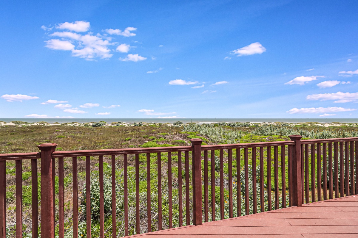 Amazing view of the coastal landscape and native vegetation