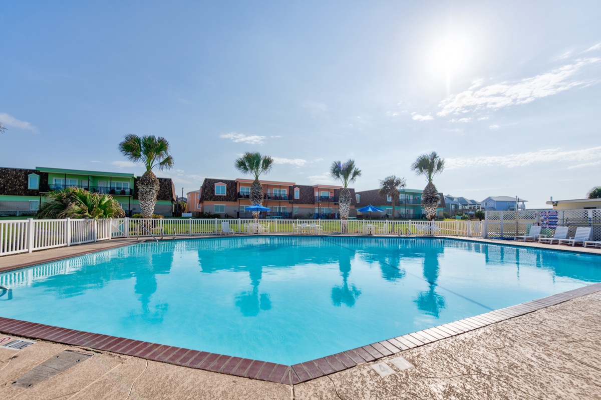 Dive into crystal-clear waters surrounded by swaying palms and colorful beachside buildings for your perfect poolside retreat.
