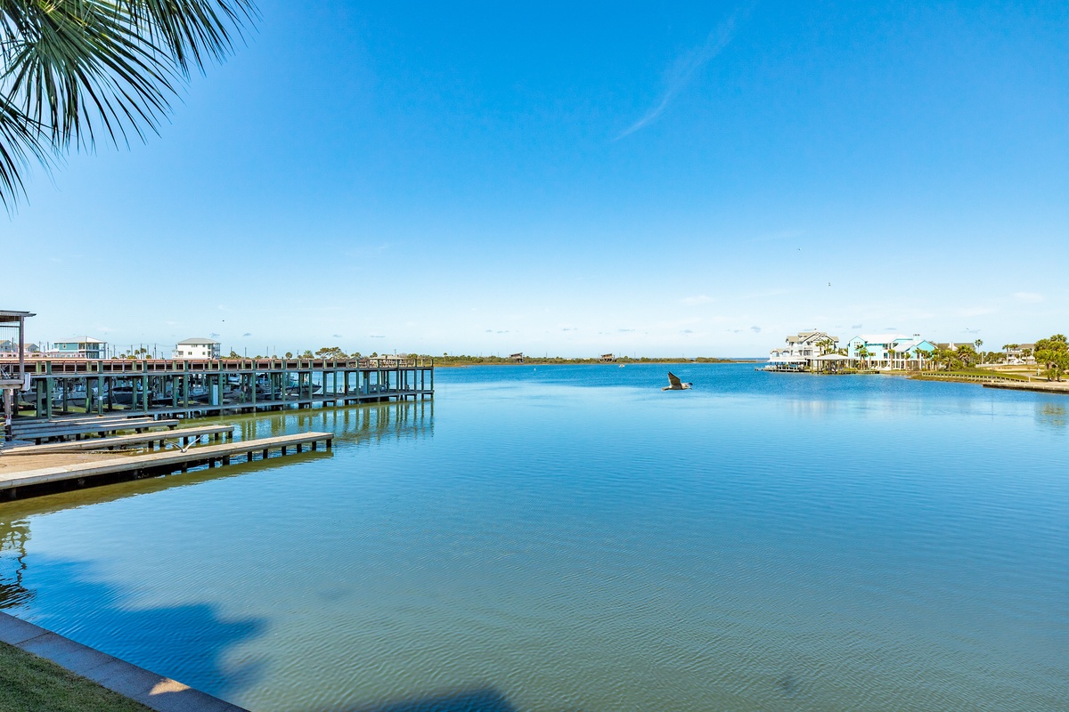 Great birding & fishing right outside