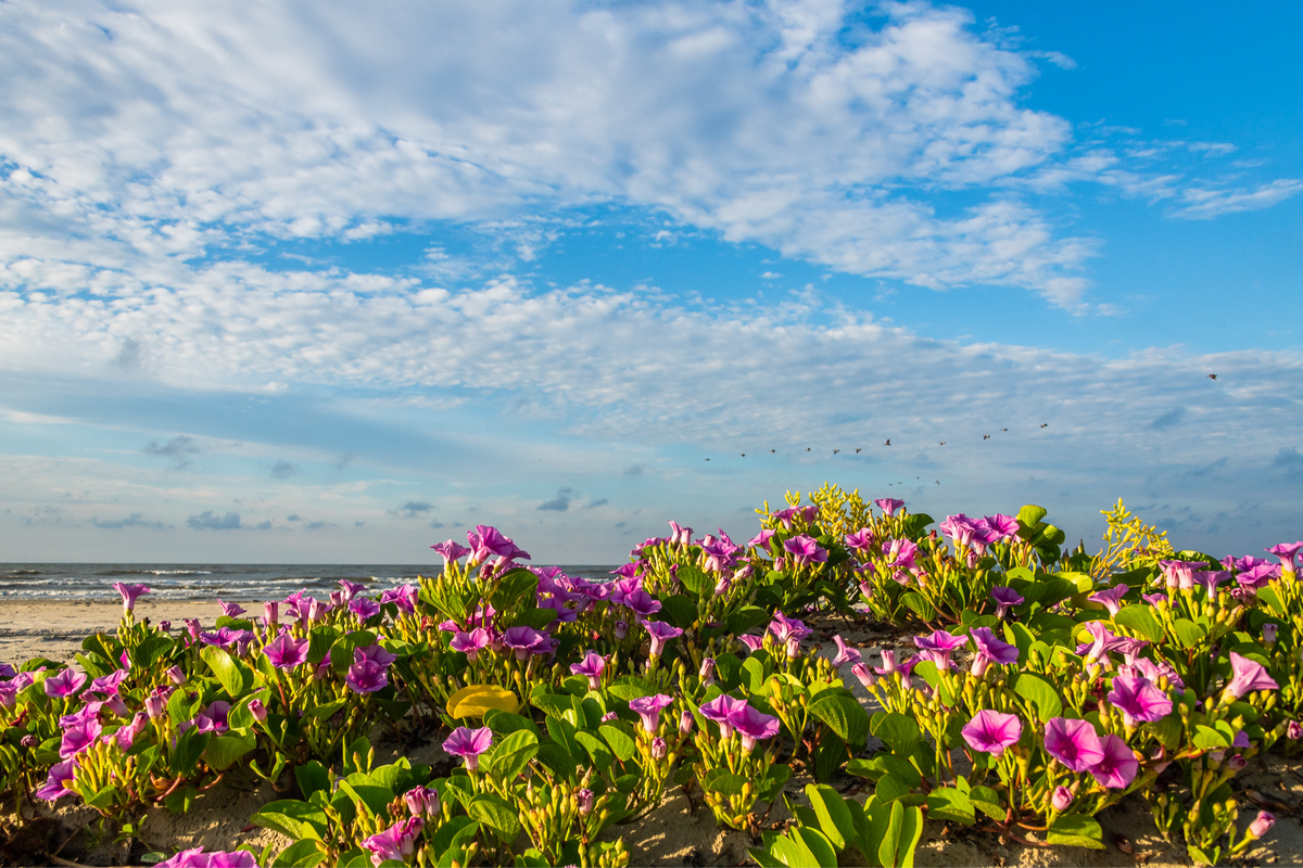4 - Every season is better at the beach!