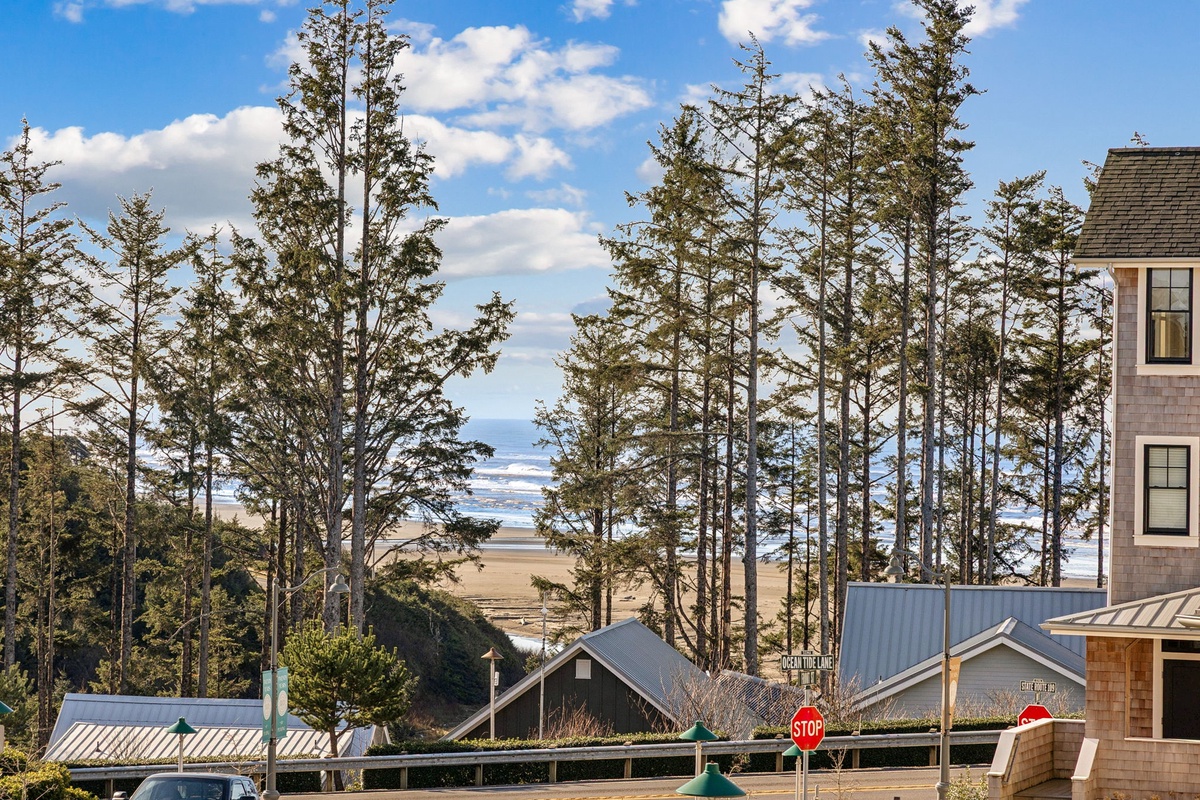 Ocean views from the primary bedroom balcony