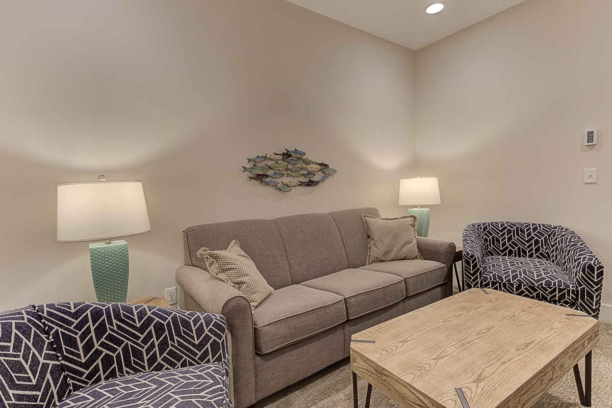 Lower level media room with sofa sleeper
