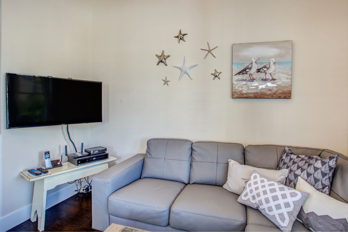 Living room sofa and flat screen tv