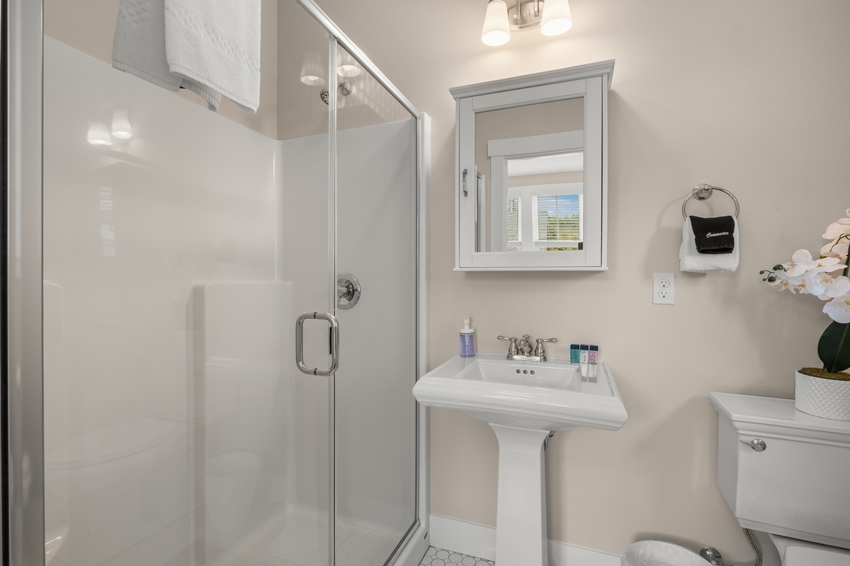 Primary ensuite bathroom with walk-in shower