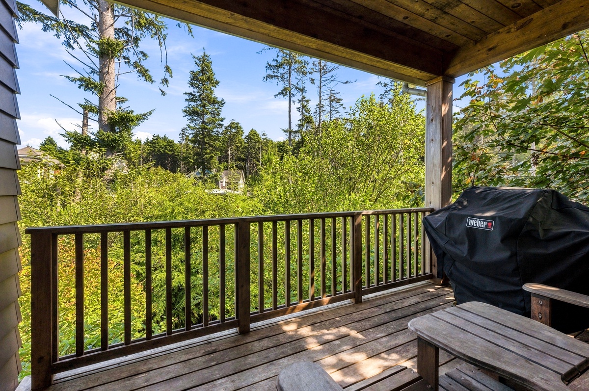 View from living room deck