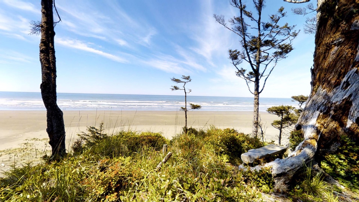 The idea of Seabrook was envisioned at this very bench just steps away from the west winds