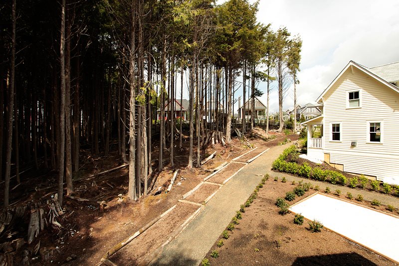 View of Gnome Trail from Upper Level Deck