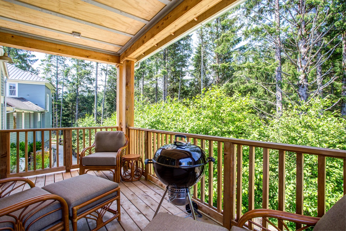 Back porch with seating