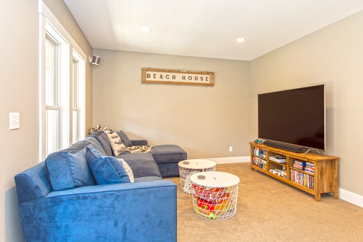 lower level media room