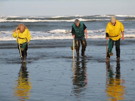 Clam digging