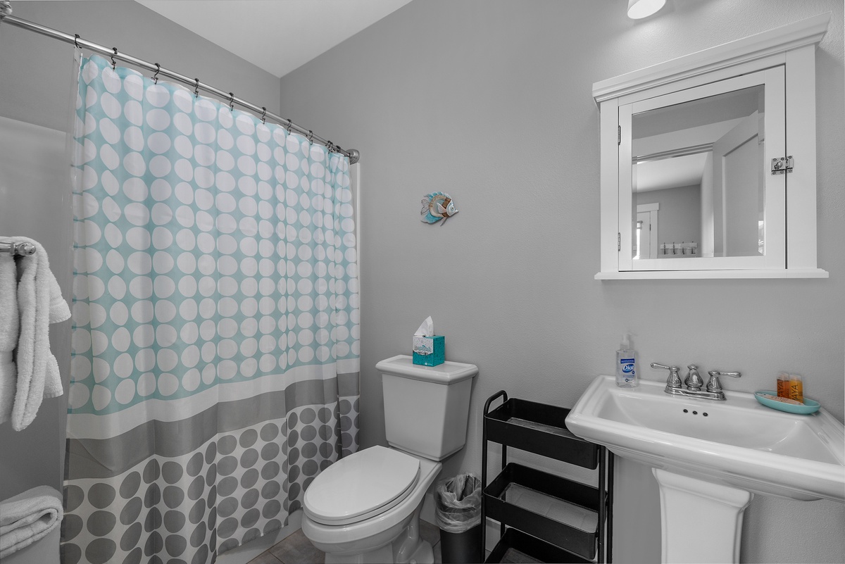 Guest bathroom