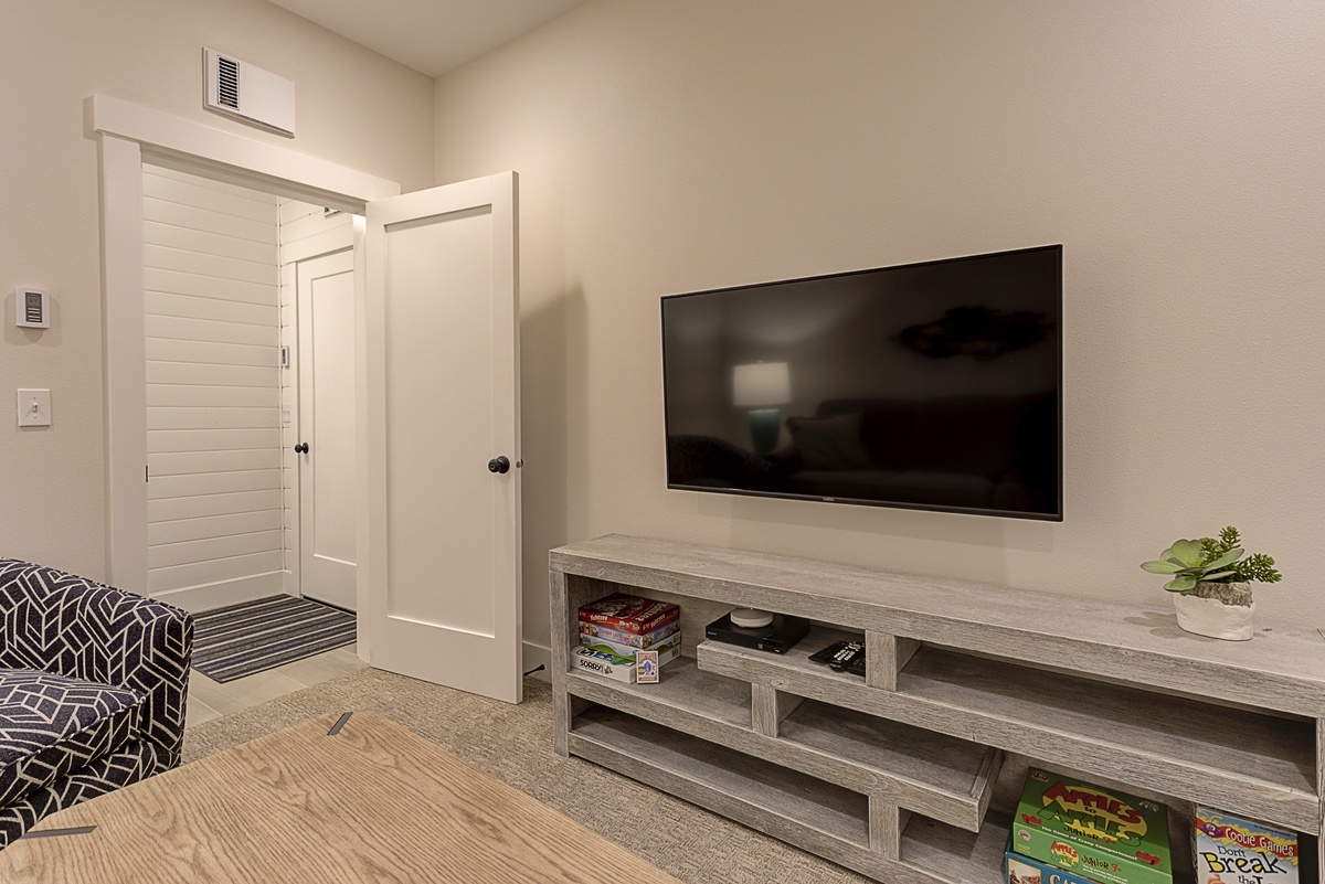 Lower level media room with sofa sleeper