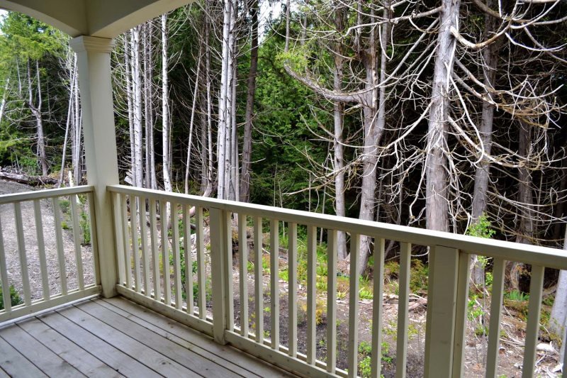 Balcony with forest view