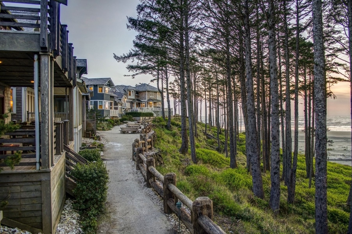 Oyster shell path in front of Ocean Aire, leading to the beach