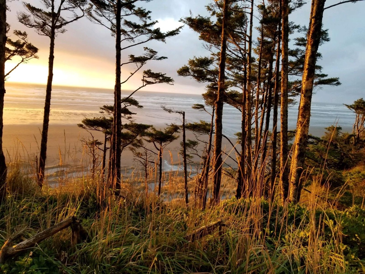 Sunrise from The West Winds