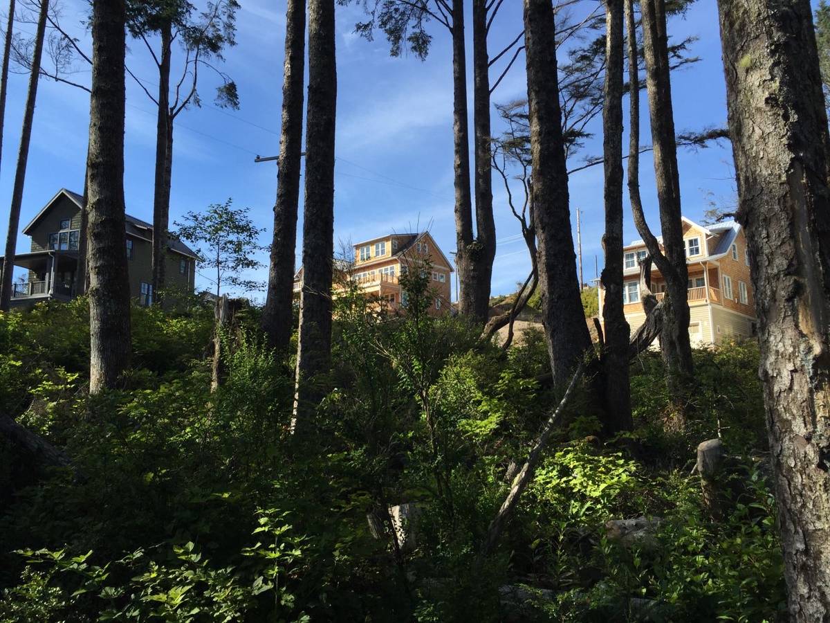 Hidden Coast Hideaway from the Elk Creek Trail