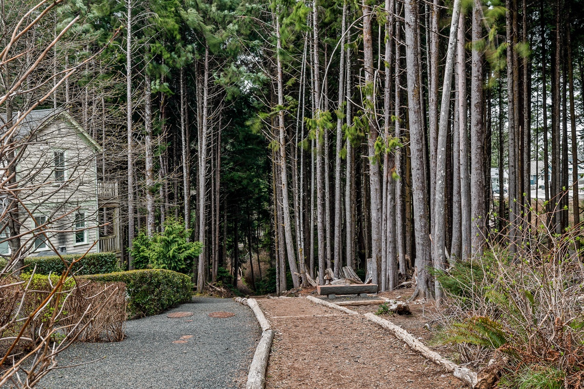 Gnome Trail offers a great adventure through the woods