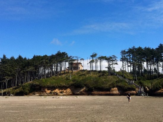 View of Beach Bluff from the beach