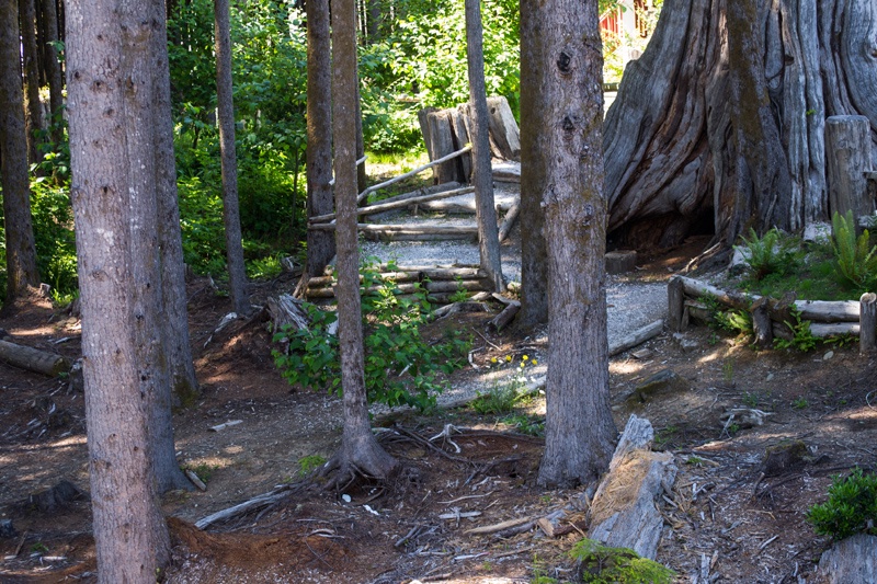 Forest View