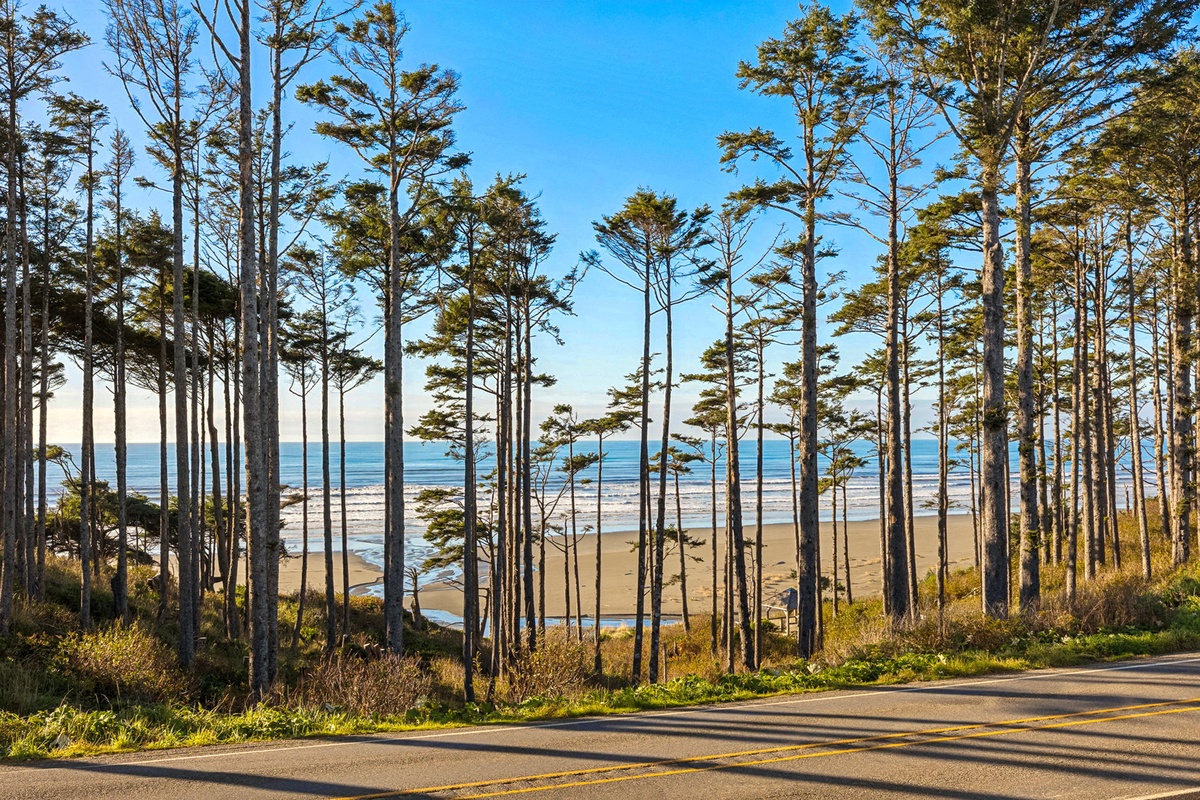 Beach and Ocean View