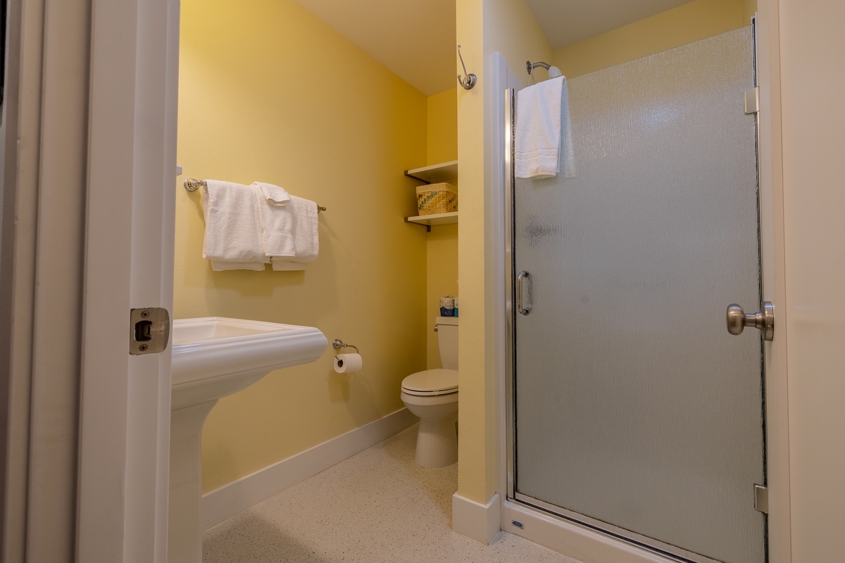 Guest bathroom with walk-in shower