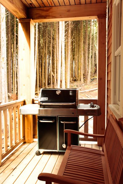  Main Level Deck with Grill and bench