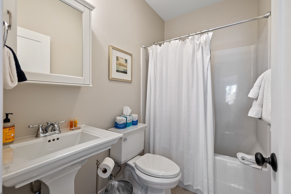 Full guest bathroom