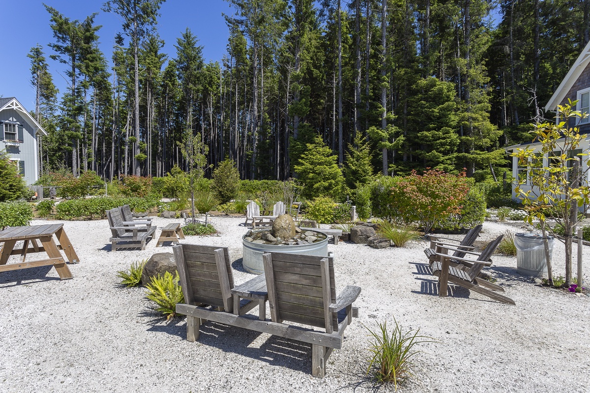 The park has peaceful forest views