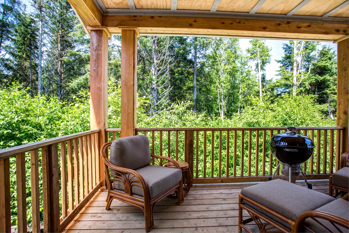 Back porch with seating, charcoal BBQ