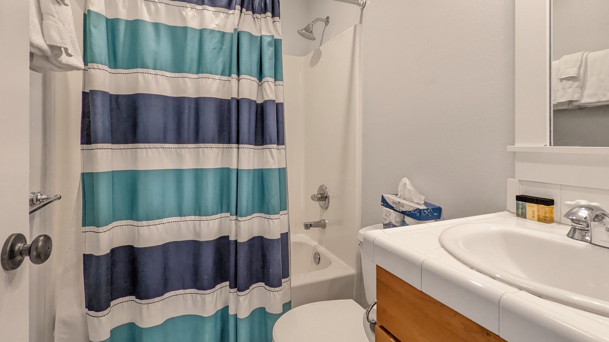 Full guest bathroom