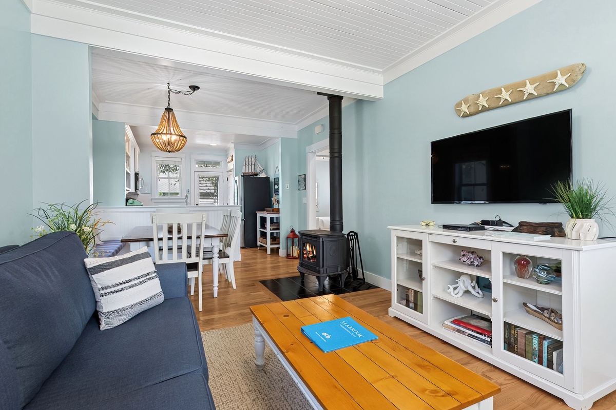 Wood stove and Smart TV