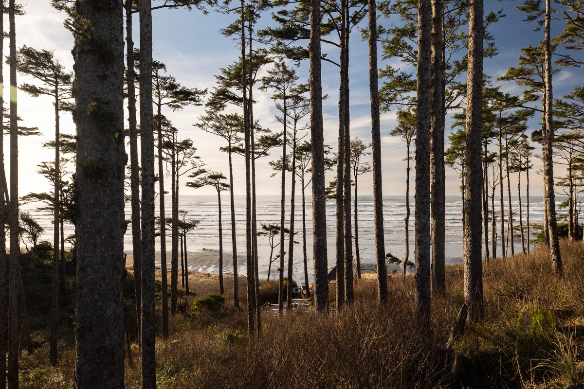 The beach is a short walk away!
