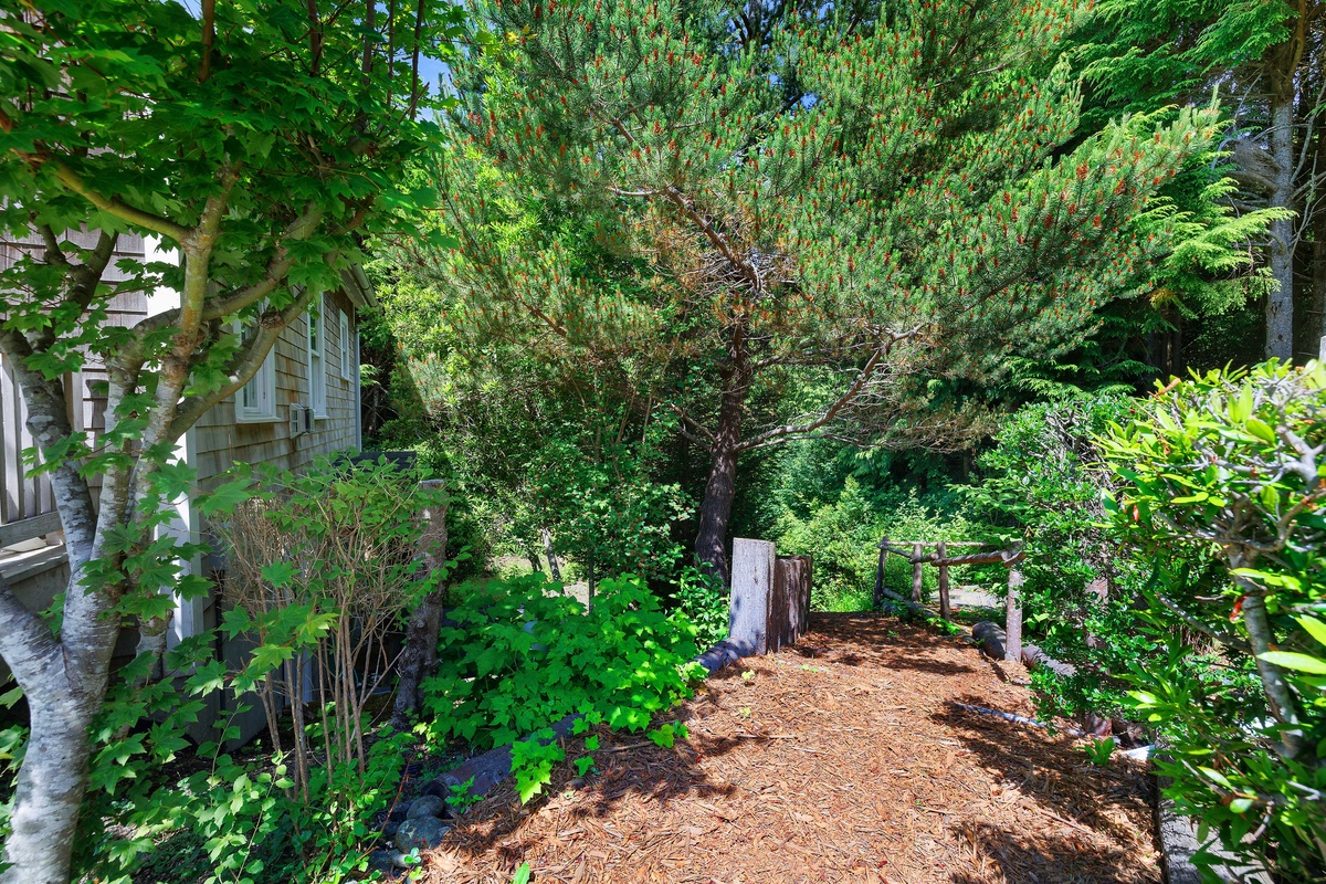 Beachy Keen is nestled in the trees