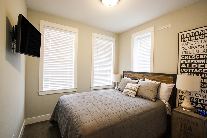 Lower Level - Guest bedroom with flat screen TV