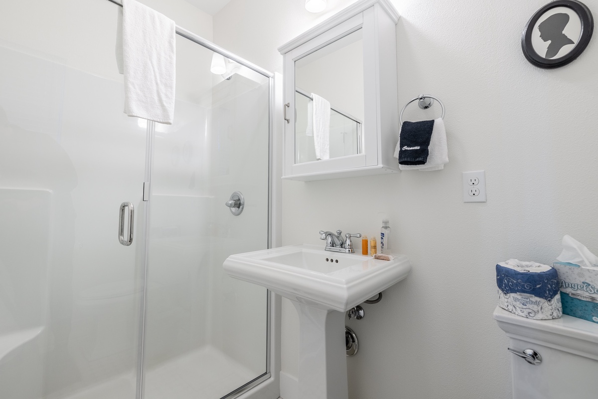 Primary ensuite bathroom with walk-in shower