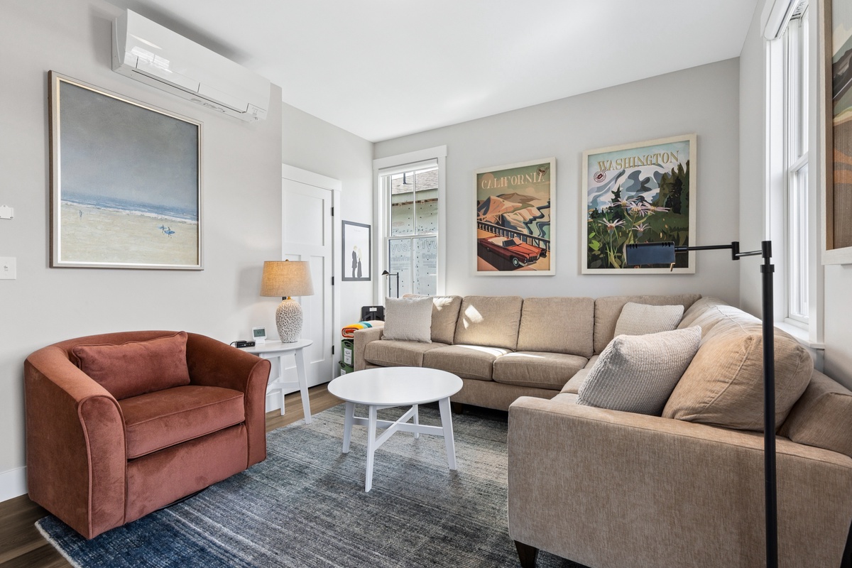 Media room with sleeper sofa